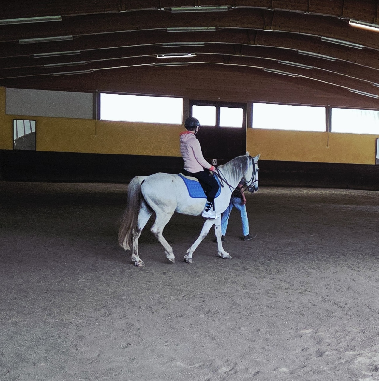 Glücksgefühle beim Reiten
